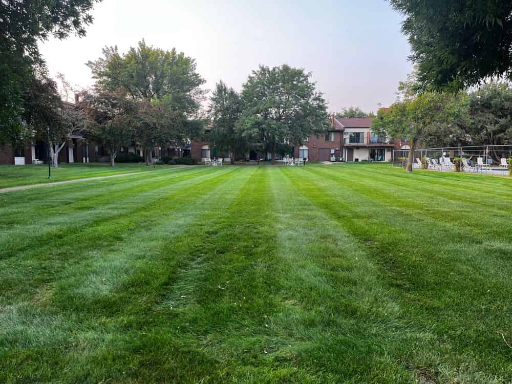 Lawn Maintenance image