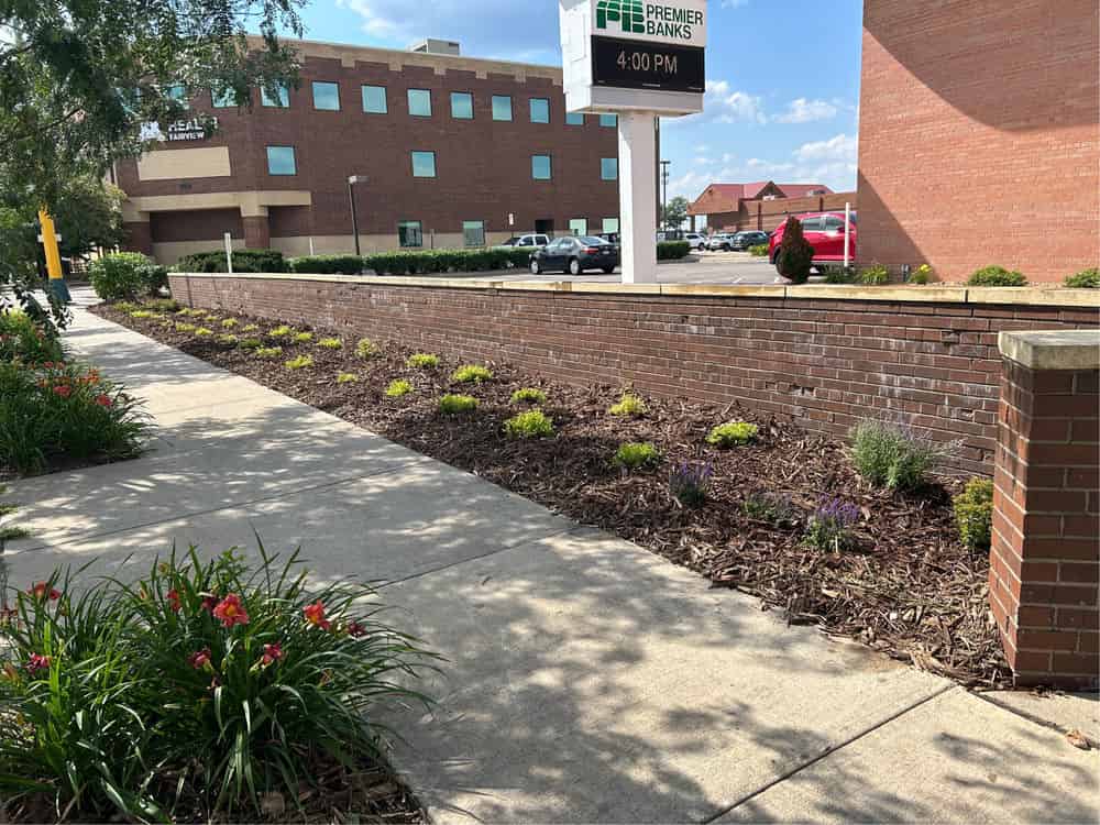 Landscaping Services image