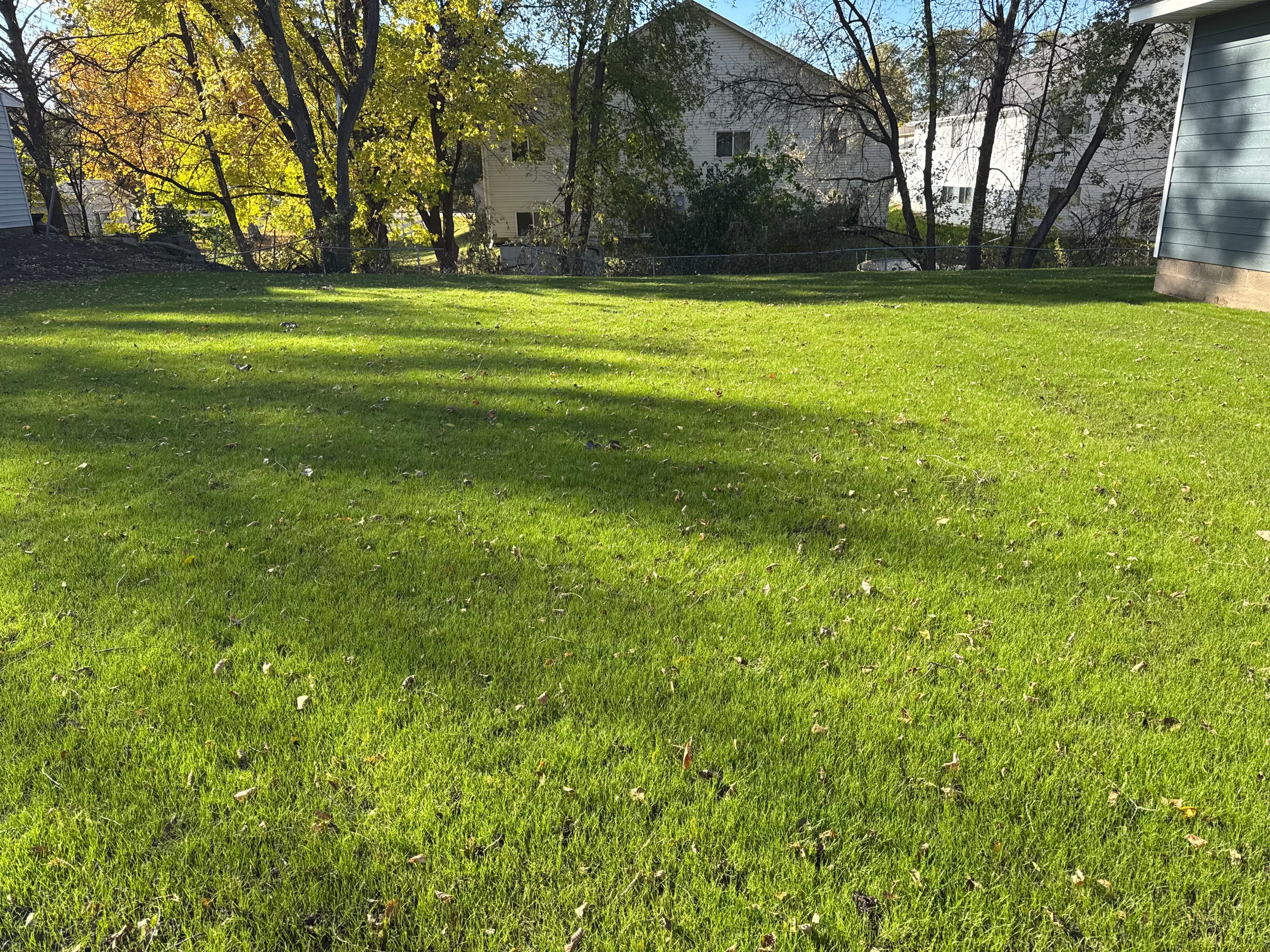 Project Lush Lawns with Expert Hydroseeding image