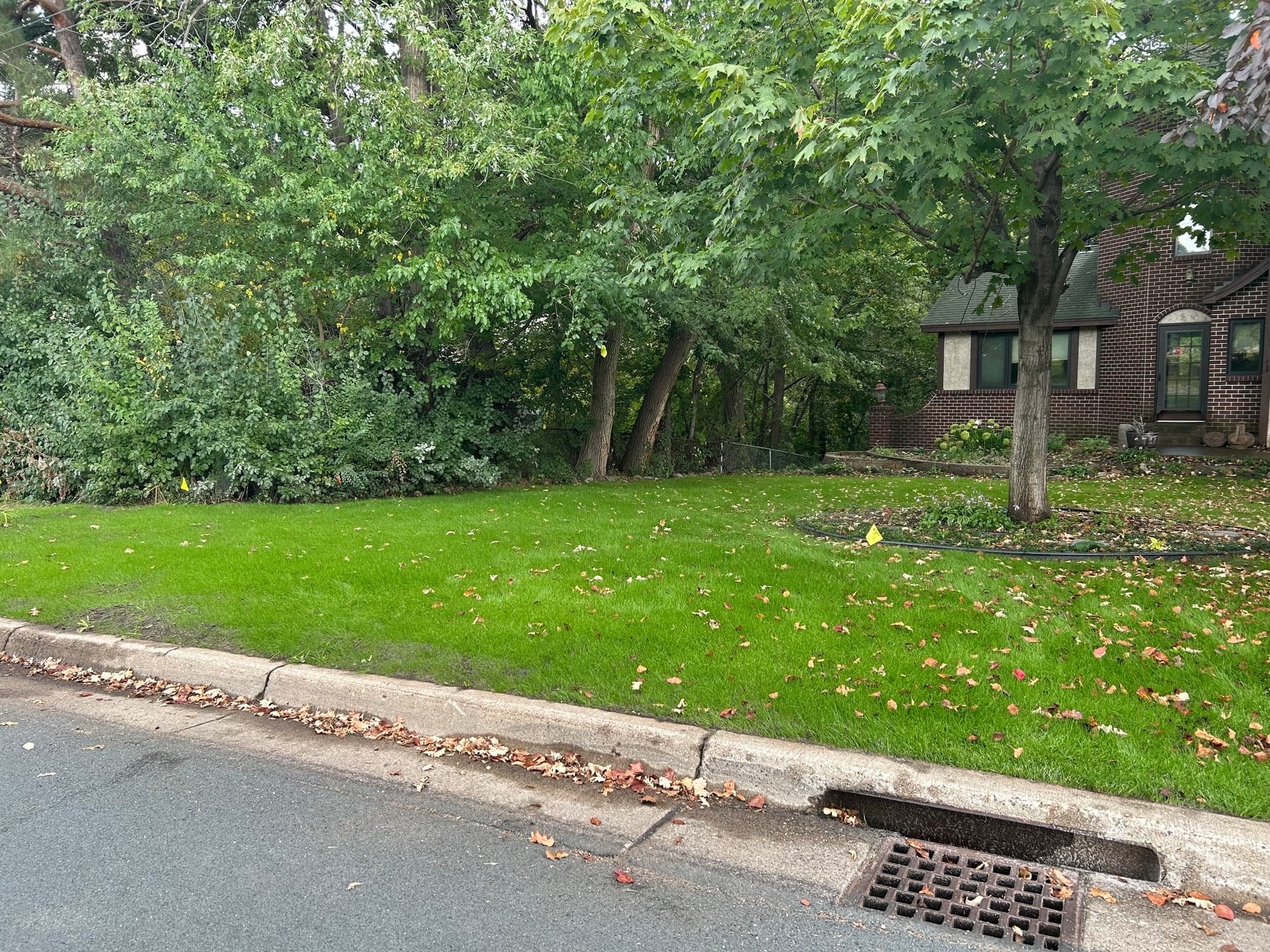 Lush Lawns with Expert Hydroseeding