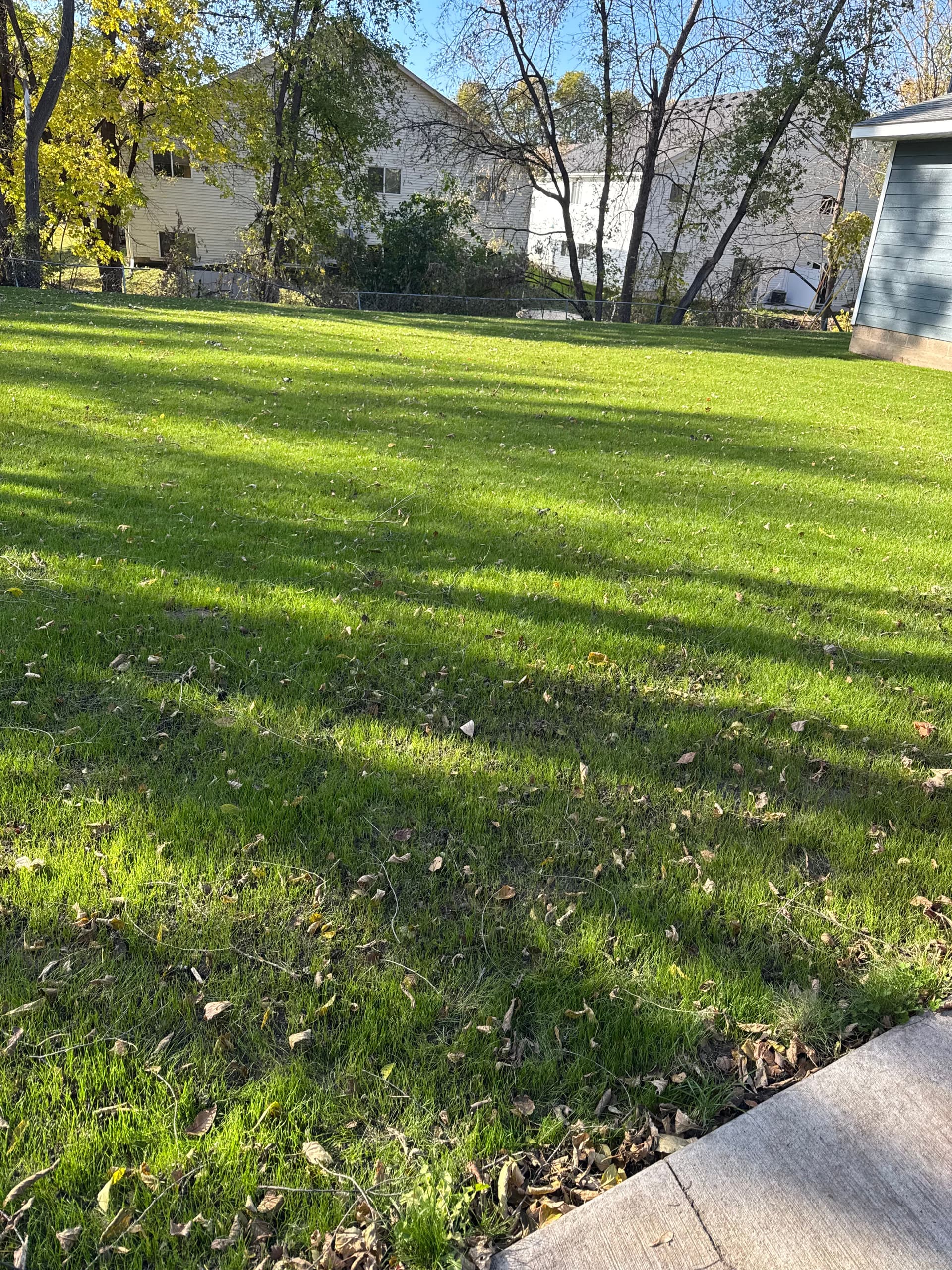 Lush Green Lawns in Saint Paul Park