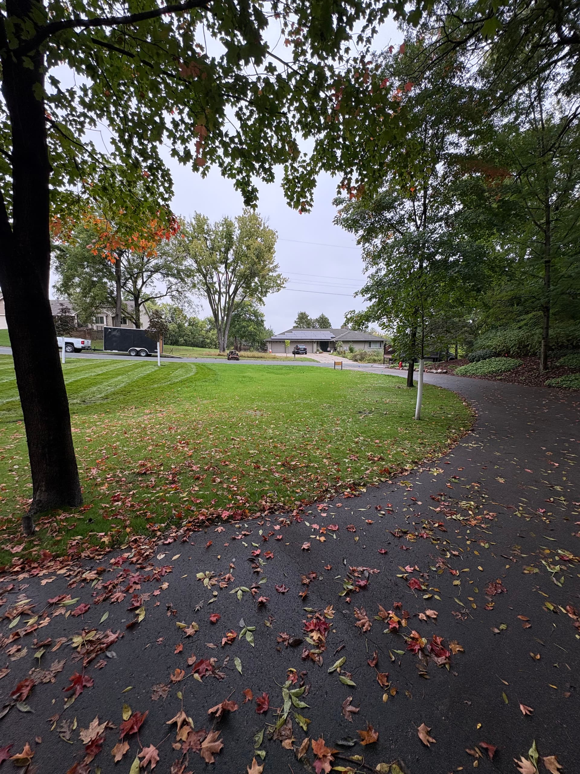 Gallery photos for Lush Lawns with Expert Hydroseeding: Image #4