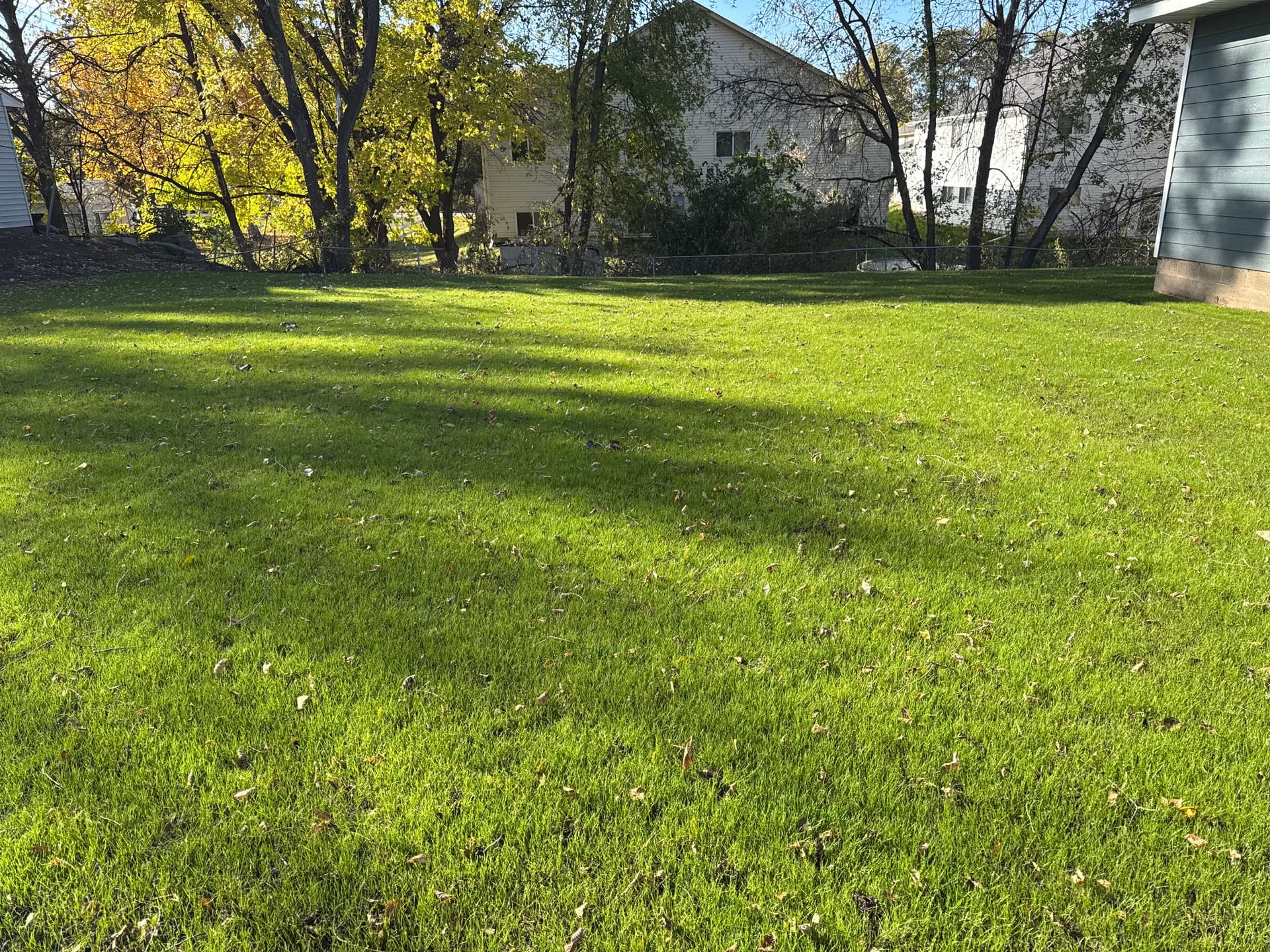 Lush Green Lawns in Saint Paul Park