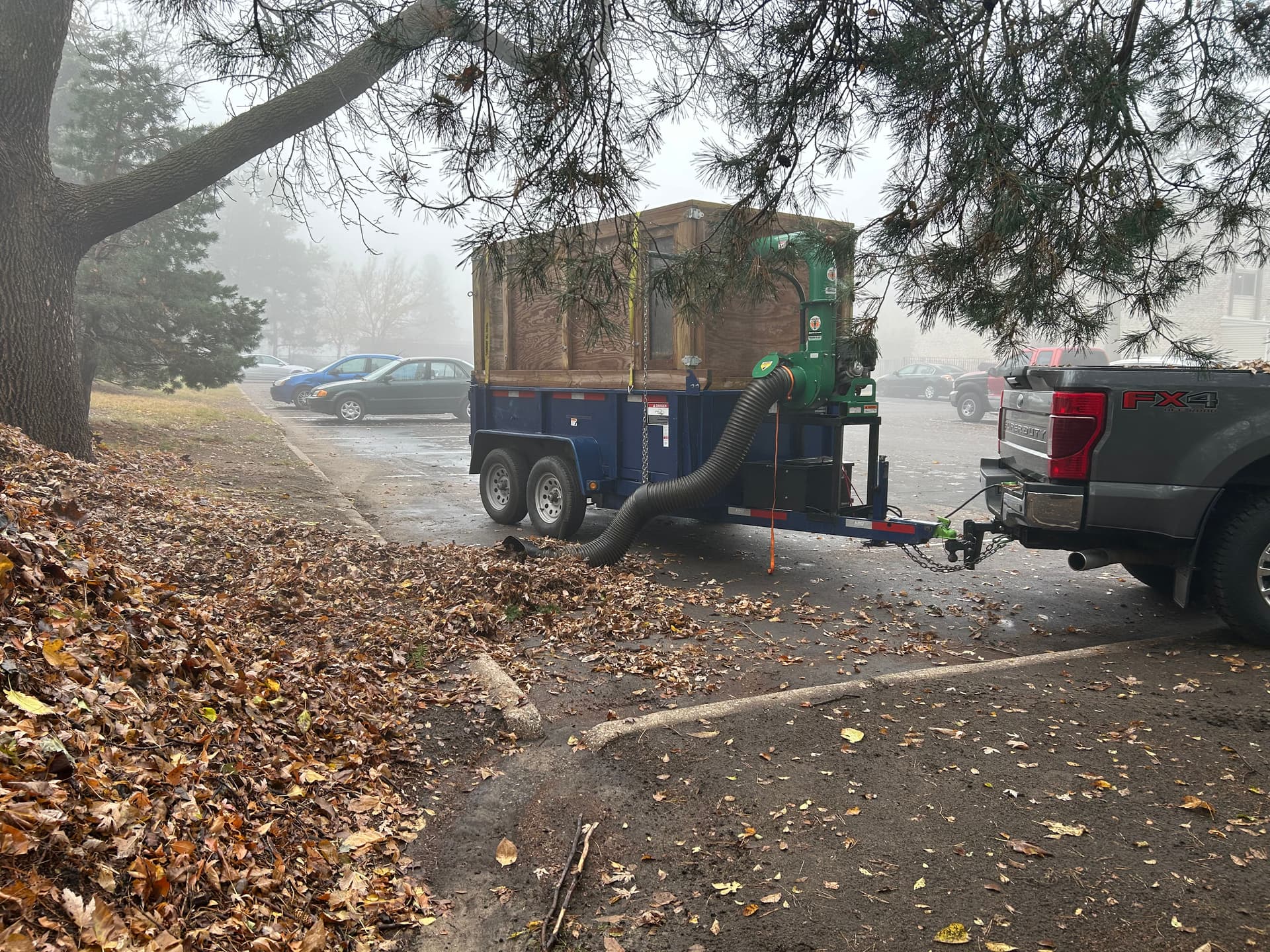 Gallery photos for Efficient Fall Lawn Cleanup: Image #2