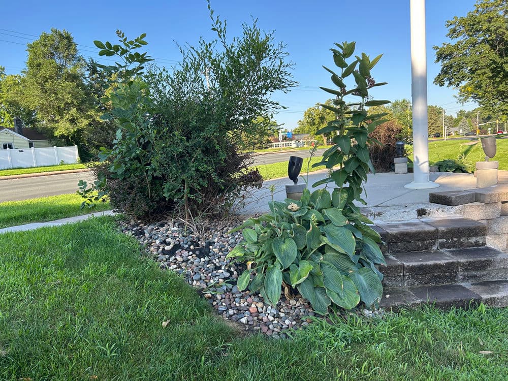 Gallery photos for Stunning Landscape Revamp in Bloomington: Image #2