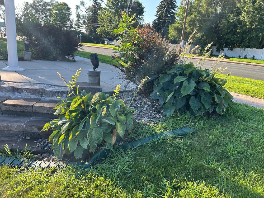 Gallery photos for Stunning Landscape Revamp in Bloomington: Image #3