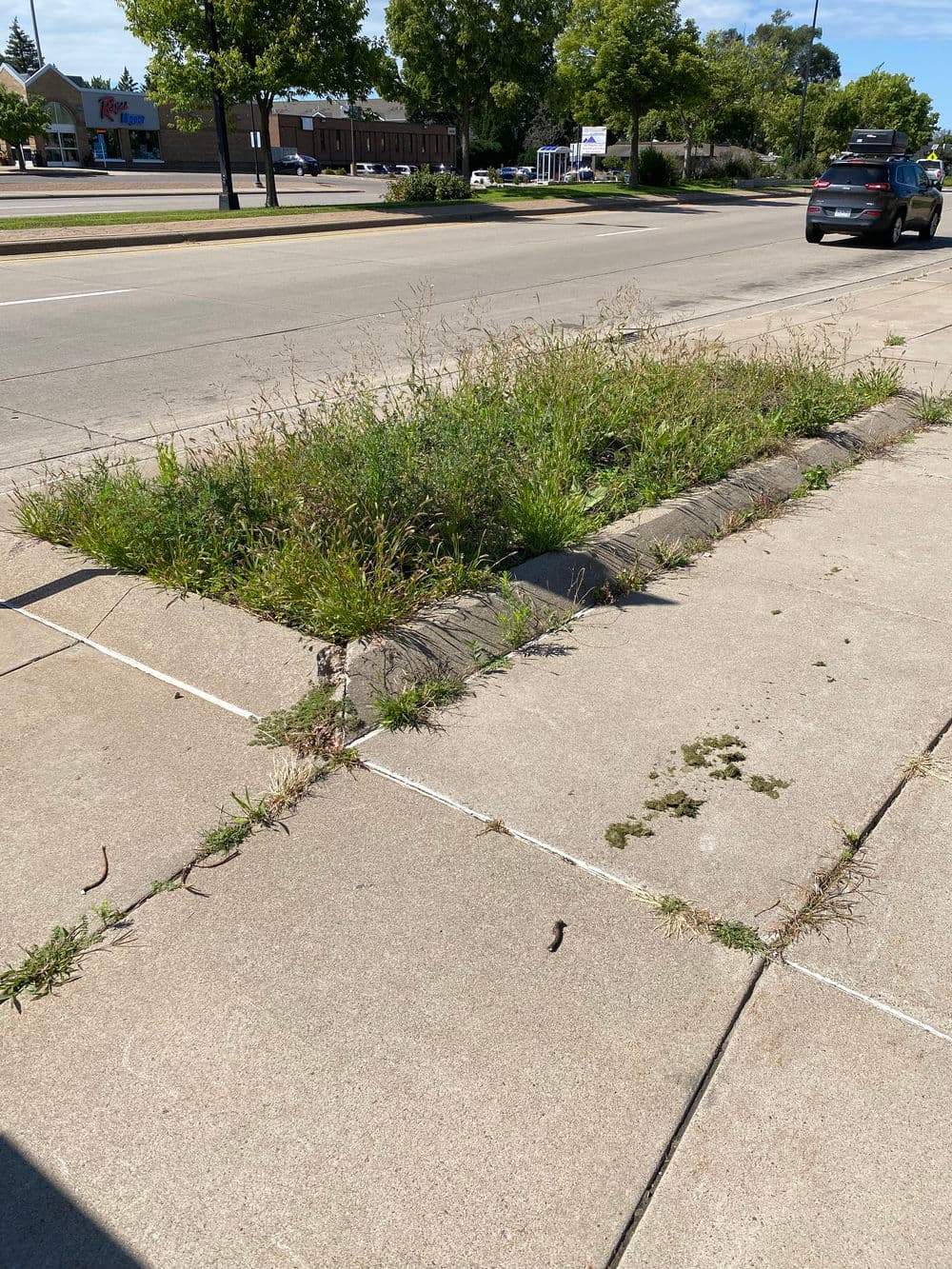 Gallery photos for Revamp on E 66th St in Richfield: Image #5